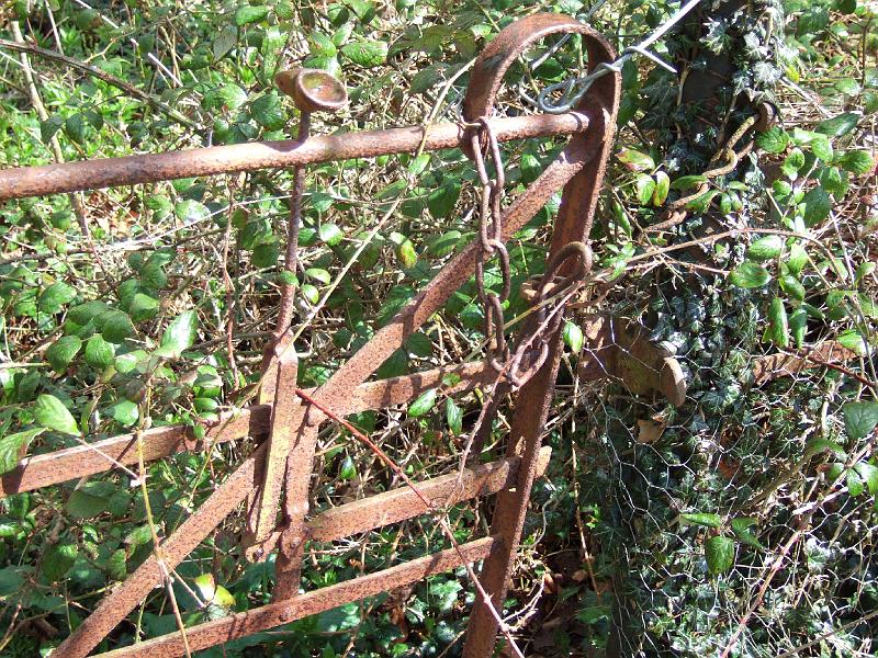 rusty 75.jpg